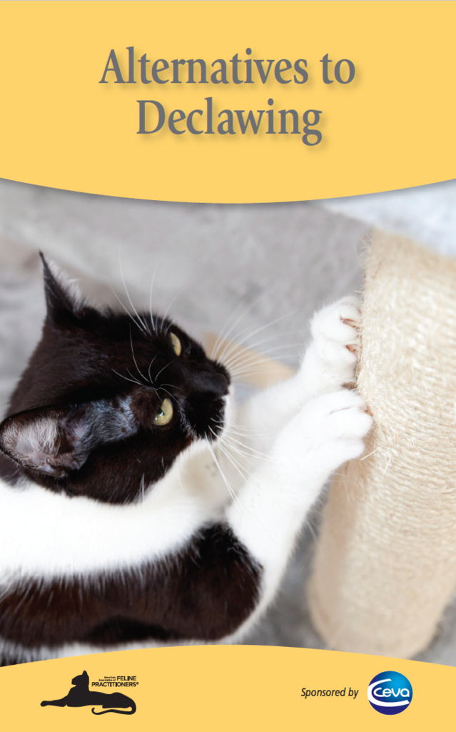 Cat Owner Brochures American Association of Feline Practitioners